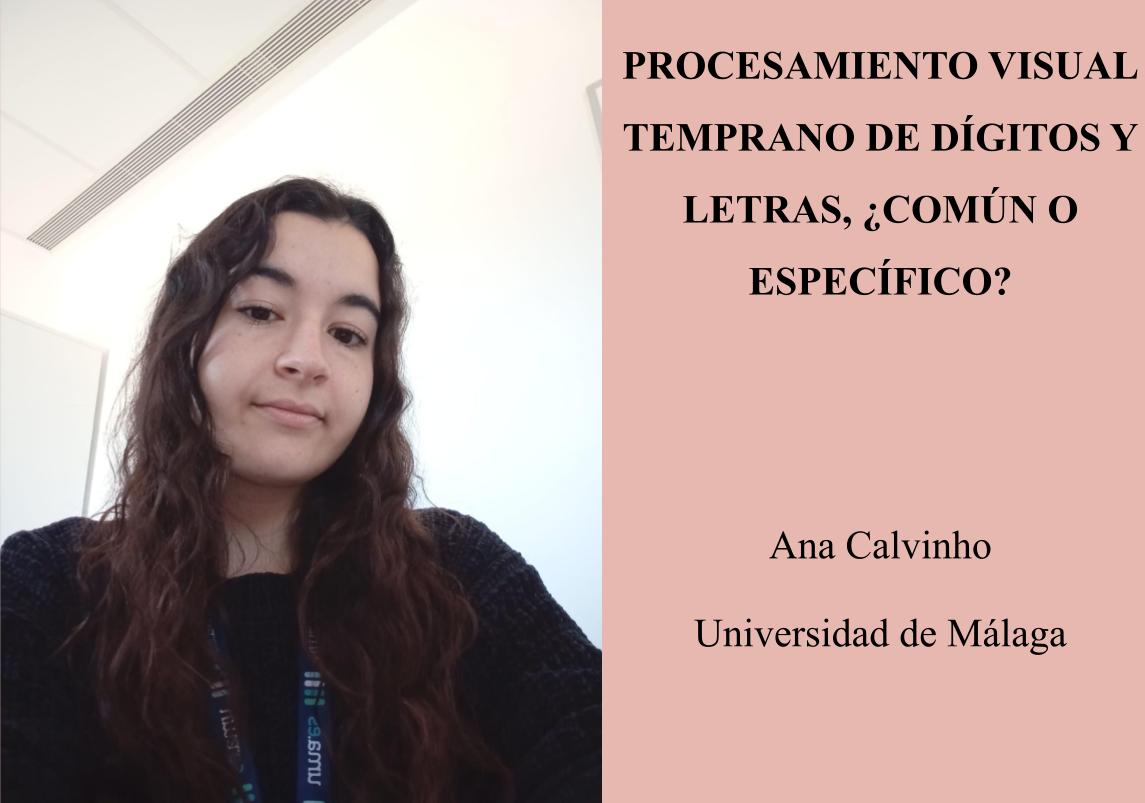 imatge de la noticia